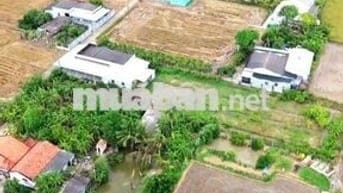 Quá đẹp, 135m2 đất thổ cư 5x 27m đường nguyễn văn ánh chỉ 650tr