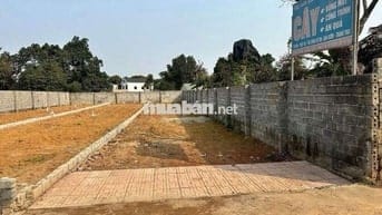 CC BÁN 167,8M ĐƯỜNG THÔNG ÔTÔ TRÁNH Giá 3,86tỷ HÒA TRÚC XÃ PHÚ CÁT HN