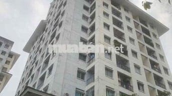 bán căn hộ chung cư p5 quận 11 ngay 312 Llq