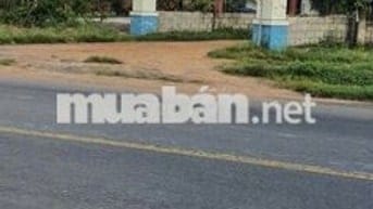 Đất trồng cây lâu năm, 300m, mặt tiền quốc lộ 55, Bình Thuận