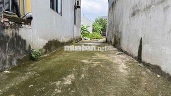 Bán 52,5m đất Bạch Đa, Kim Hoa, ML. Gần đường vành đai 4 và CTy HonDa
