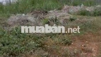 🍀🍀🍀 BÁN LÔ ĐẤT THÔN VÕ CẠNH - VĨNH TRUNG THUỘC PHƯỜNG TÂY NHA TRANG