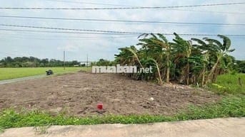 Đất nền thổ cư dt 5,5x20m giá 420tr.bình lãng tân trụ long an