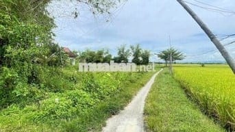 Bán lô đất đẹp chính chủ.Thăng Bình, Đà Nẵng. 280m ngang 10, 450 triệu
