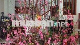 Chính chủ cho thuê nhà nguyên căn 2 mặt tiền, 3 tầng