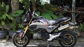 MSX 110cc