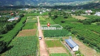 Cách Tà Nung Đà Lạt chỉ 12km,xung quanh view đồi thông,homestay..