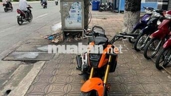 HONDA (MSX125) (2019)(THÁI) BS:65B2:CẦN THƠ
