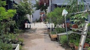 Bán đất 250tr diện tích 4x17m  phường tân vĩnh hiệp tân Uyên