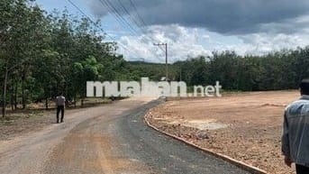 cần tiền bán gấp miếng đất 200m2 có sẵn 100m2 thổ  cư sổ sẵn 200tr