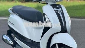 yamaha- Grande