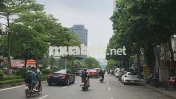 Cần bán tòa kính nhà mặt phố Nguyễn Văn Cừ 195m2 giá 62,79 tỷ