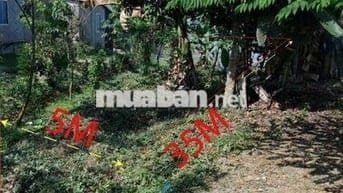 Đất nền thổ cư 175m² mặt tiền kênh 3 phú điền