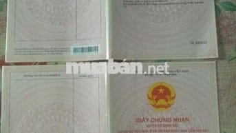 ĐẤT SỔ HỒNG 84,5M2 HẺM LỘ XÃ TÂN LỢI THẠNH  10.133752, 106.451308