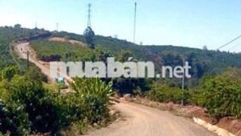 Chủ gửi bán lô đất nghĩ dưỡng tại Di Linh có nhà sẵn giá chỉ 550tr