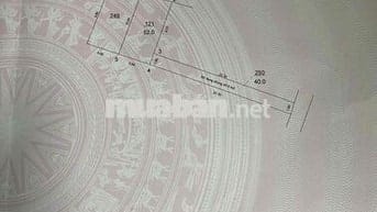 d/c: 166 dương đức hiền - kim sơn- gia lâm- hà nội