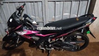 Sonic zjn kiểng 9c