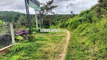 🌿 BÁN ĐẤT NGHỈ DƯỠNG – CÓ SỔ ĐỎ RIÊNG – HUYỆN BẢO LÂM, LÂM ĐỒNG 🌿