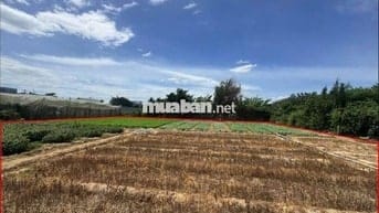 ĐẤT VƯỜN Ninh Thuận-đập hạ lưuSông Dinh,cầu Tuấn Tú-Sổ đỏ-THƯƠNG LƯỢNG