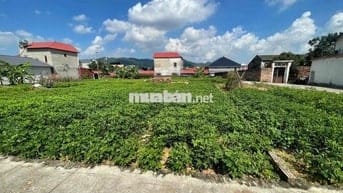 ĐẤT Phù Linh,Sóc Sơn-81M-MT 6.5M- Đường Thông Ô tô tránh-