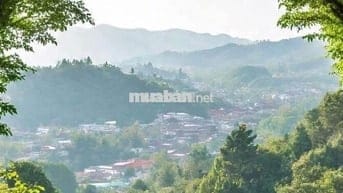 CHO THUÊ KHÁCH SẠN MẶT TIỀN BÀ TRIỆU, P. XUÂN HƯƠNG - ĐÀ LẠT