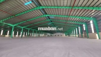 Cho thuê xưởng 55.000m2 trong Hớn Quản Bình Phước