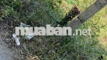 Bán gấp , đất HXH khu phân lô 6 x27 m , QL50 Thạnh Nhựt , Gò Công Tây