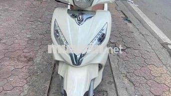 Xe Shark trắng mới tinh