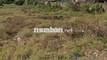 Bán đất Bình Chánh dt 108,5m2 giá 546tr full thổ