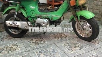 chaly81/50