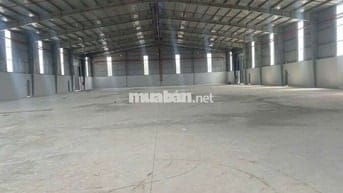 Cho thuê xưởng 4500m2 tại Bến Cát Bình Dương