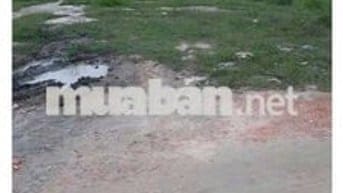 ___ Đất liền kề Cụm Công Nghiệp Tân Hiệp 
_Xung quanh xưởng full kín