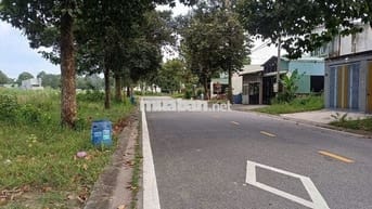 Lô Đất Đẹp Chủ Bán Gấp, Đường Số 81, Phú Tân, Thủ Dầu Một