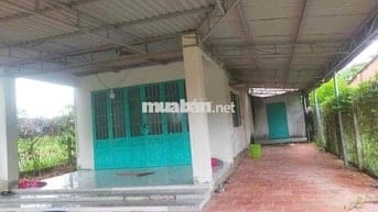 NHÀ NGỘP NGANG 10x31 THỔ 60 SHR 650TR CẨM GIANG