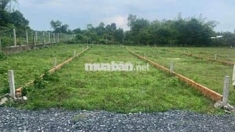Bán đất Đường ĐT. 826C, Phước Vĩnh Tây, Cần Giuộc, Long An,120m²/420tr