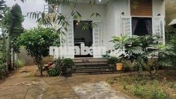 Nhà mới xây kiên cố, view đẹp, gần nhà thờ Tân Bùi, hẻm xe hơi.