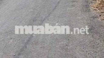 giá : 570tr/ 1000m2 đất lúa  , xã bình an - thủ thừa - long an