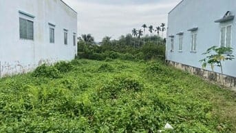 Sang đất nền lọt khe Bến Lức, sổ hồng riêng chính chủ