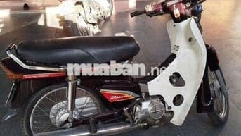 Gia đình không đi cần bán dream thái 1998
