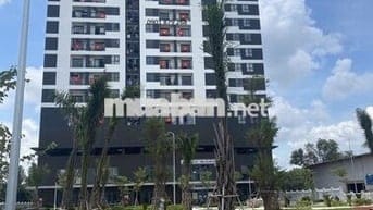 Chính chủ Cho thuê 1PN New Lavida, chỉ 3.0 triệu vào ở ngay