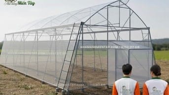 Nhà màng trồng rau chỉ từ 180k/m2