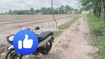 Đất ninh điền. Chỉ 165 triệu hết đất