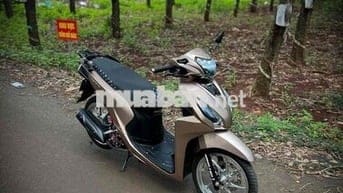 vision màu tft vespa full kiểng