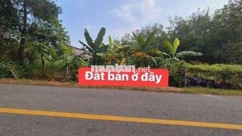 Bán đất , đường lớn an nhơn Tây 10X20 Thổ 150m. Tại Củ Chi