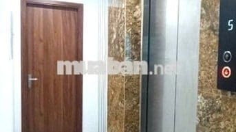 Tậu nhà dòng tiền50 tr-55m7T-oto đỗ-thang máy Ngọc trục-Đại mỗ14,45 tỷ