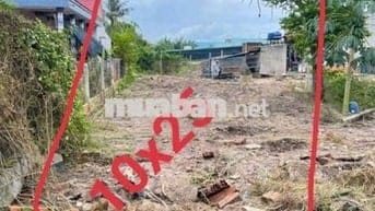 Đất 10 x 25 (250m2 Full thổ) đường đá xanh 5m thông,Mỹ Hạnh Nam