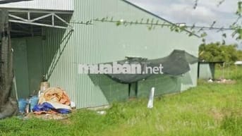 Xoay vốn làm ăn bán gấp lô 87.5 m2 685tr Long thượng Cần Giuộc Long an