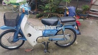 Cub 82