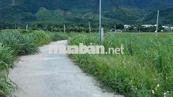 chào bán lô đất trồng cây lâu năm hoà bắc phường hải vân mới