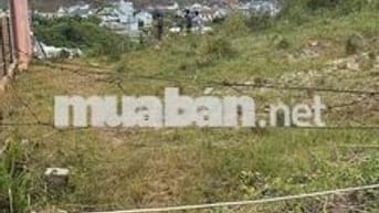 Cần bán nhanh lô đất giá tốt tại phường Langbiang - Đà Lạt